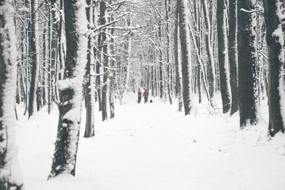 Winterspaziergang